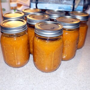 tikka masala sauce for the freezer